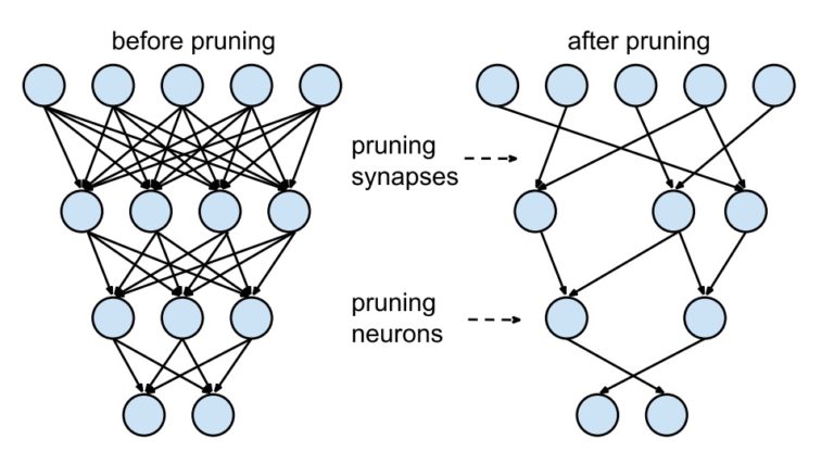 Synaptic Pruning MarkCleaveland Synaptic Pruning MarkCleaveland